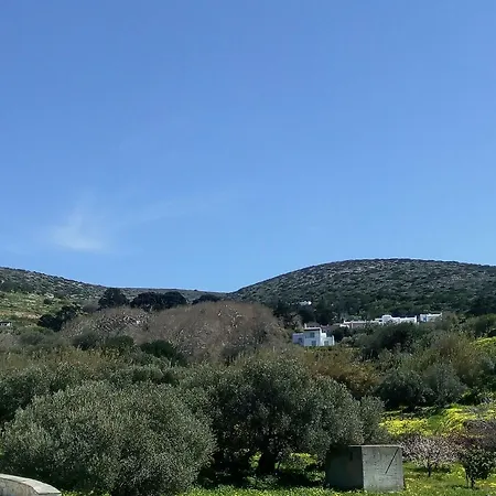 Сasa de vacaciones Traditional House Paros