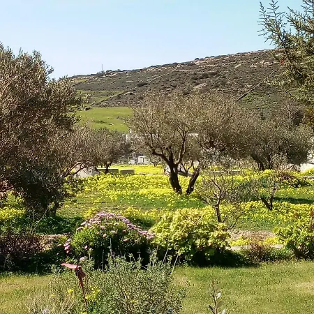 Casa de Férias Traditional House Paros